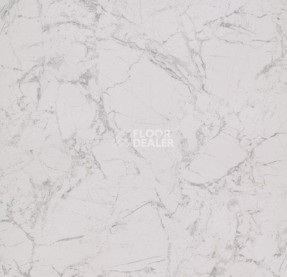 Линолеум Forbo Eternal Material 13332 white marble фото 1 | FLOORDEALER